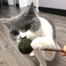 Catnip Lollipop Chew Toy for Cats