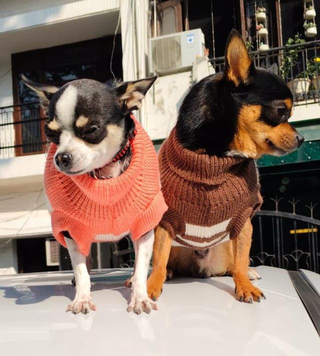 Sweater For Small Dogs Cats (Brown)