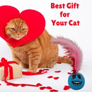 Pet Chasing Toy Feather Ball Cat Toy