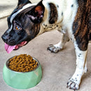 Anti-Skid Melamine Stainless Steel Bowls For Dogs