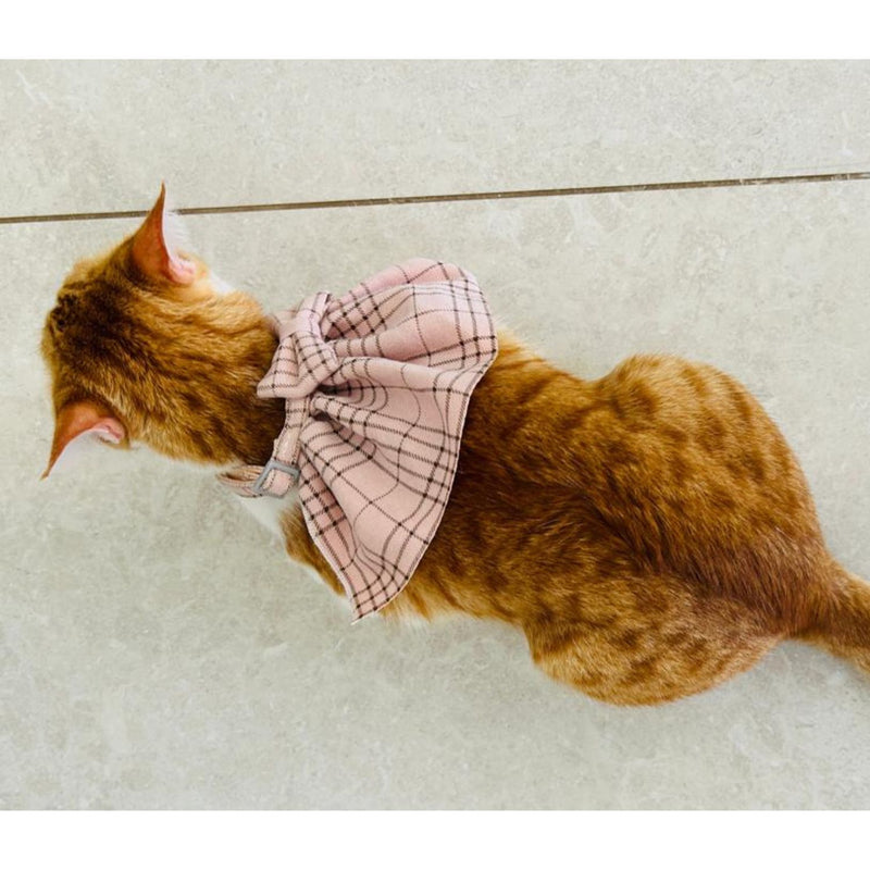 STYLISH Cat Bow Tie Collar