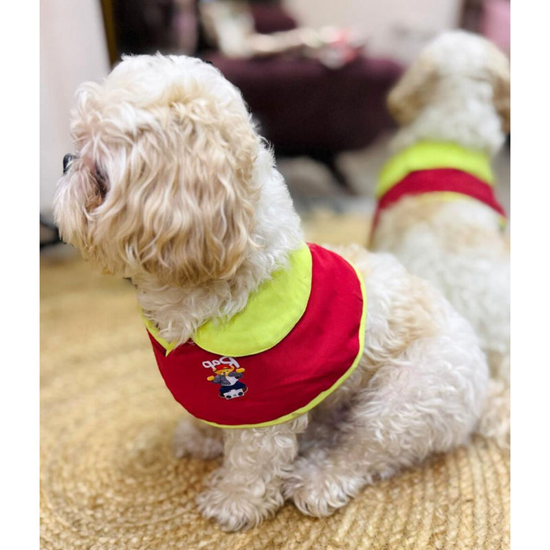Pet Dog Cape Collar – Stylish Red