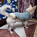 Winter Sweater For Dogs and Cats ( Sea Green )