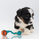 Hide 'n Seek Tug-O-Rope Squeaky Dog Chew Toy