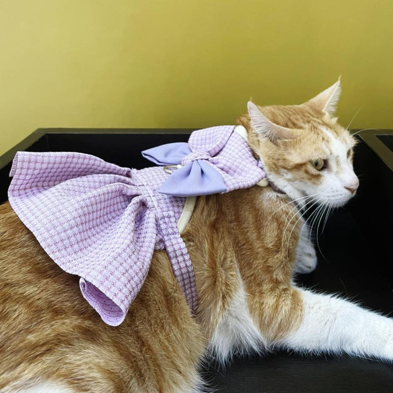 Cat Harness Dress with Bow