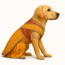 Traditional Sari-Style Ethnic Outfit for Dog & Cat