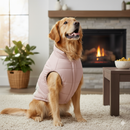 Dog Winter Jacket – Warm & Lightweight Sky Blue