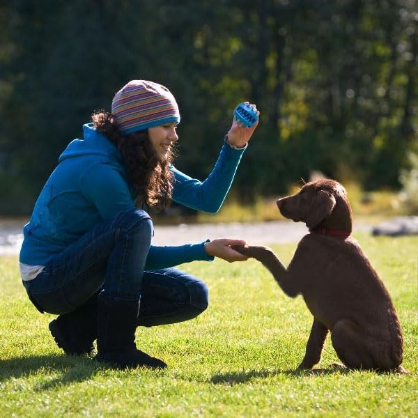 Dog Chew Toy Ball For Medium & Large Dogs