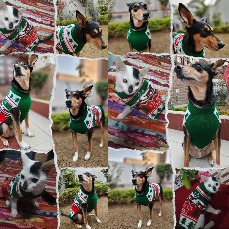Winter Sweater For Dogs and Cats