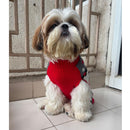 Winter Sweater For Dogs and Cats