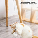 Interactive Toy For Cats & Kittens