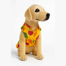 Traditional Dog Sherwani for Wedding & Festivals