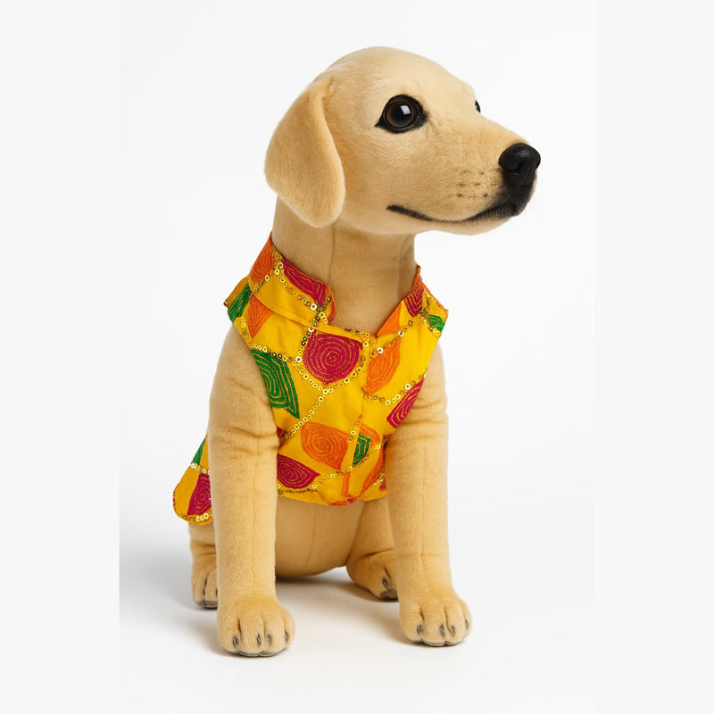 Traditional Dog Sherwani for Wedding & Festivals
