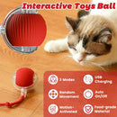 Interactive Cat Toy Ball for Indoor Cats