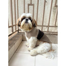 Winter Sweater For Dogs and Cats