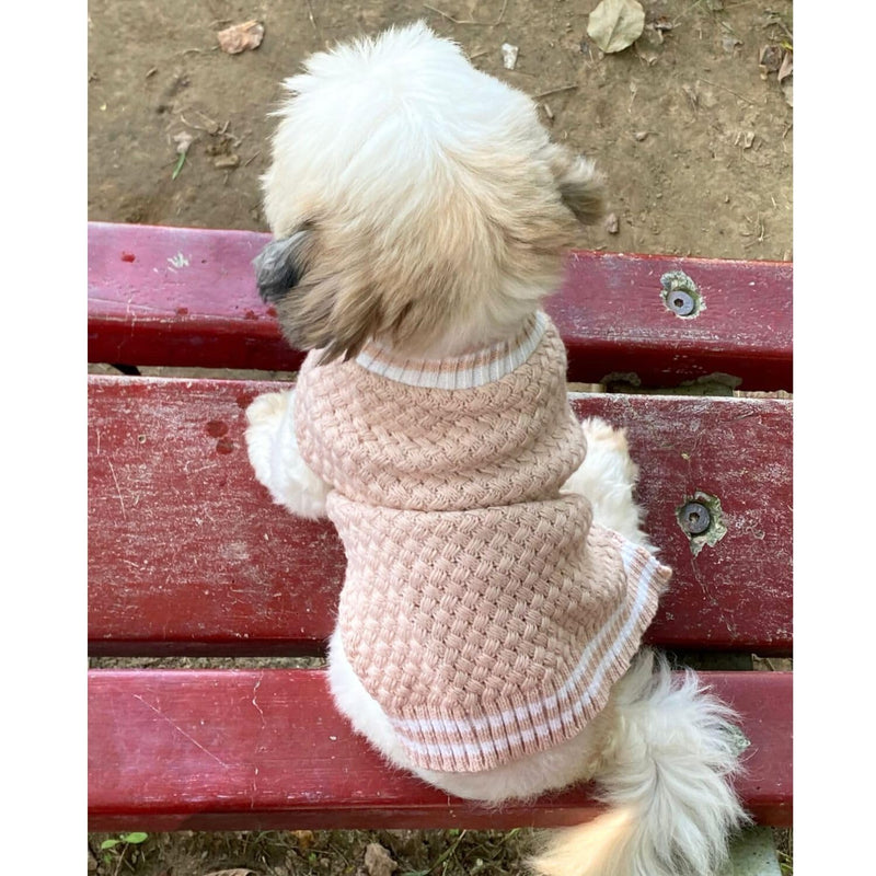 Winter Sweater For Dogs and Cats ( Light Pink )