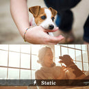 Waterproof Rechargeable Electric Training Collar with Remote for Small Medium Large Dogs