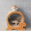 Cat Exercise Wheel for Indoor Cats