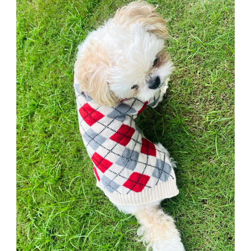 Winter Sweater For Dogs and Cats ( Cream )