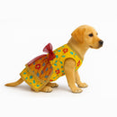Traditional Floral Dress For Dog & Cat
