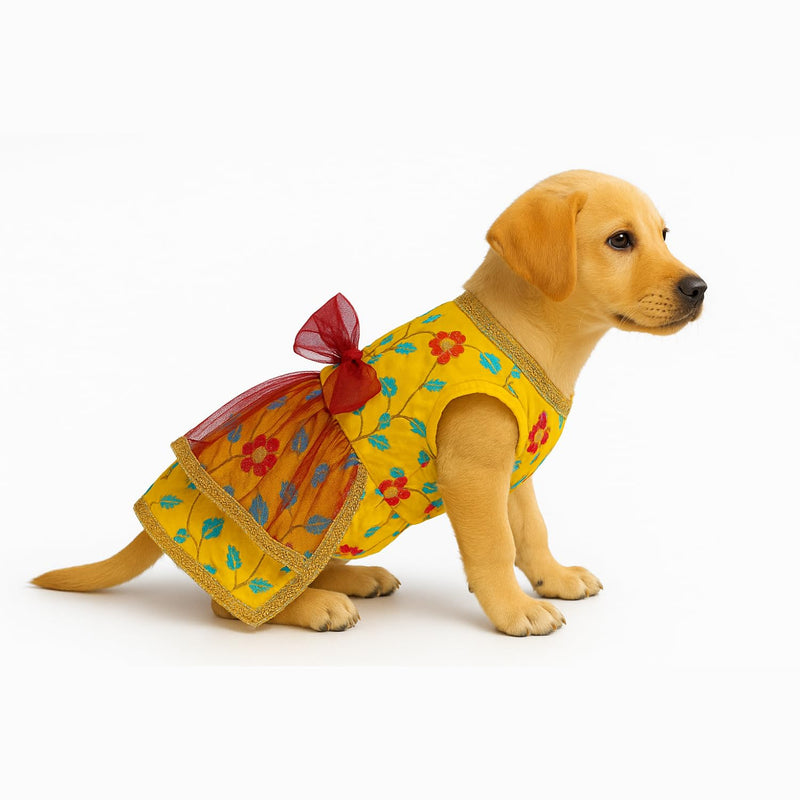 Traditional Floral Dress For Dog & Cat