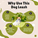 Flexible Bungee Leash For Dogs
