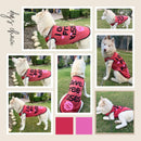 Summer T-shirt For Pets