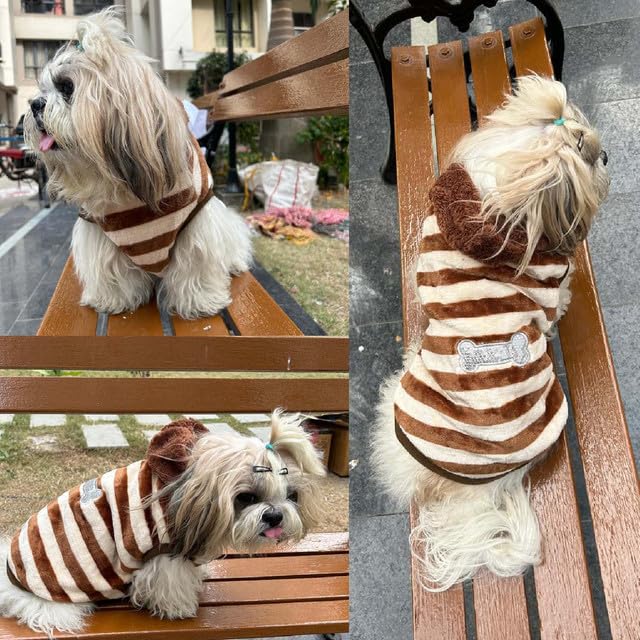 Winter Hoodie Jacket for Small Breed Dog (Brown-White)