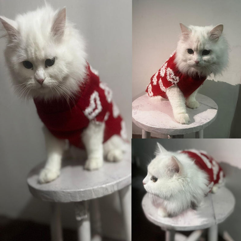 Turtleneck Sweater Winter For Small Dogs Cats