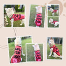 Summer T-shirt For Pets