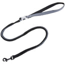 Flexible Bungee Leash For Dogs