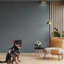 Mesh Harness And Leash Set For Small Medium Large Dogs