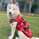 Summer T-shirt For Pets