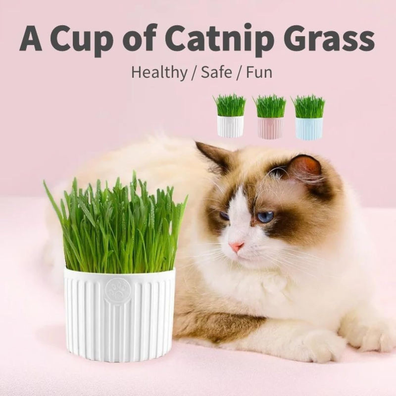 Grass Planter For Pets (Color May Vary)