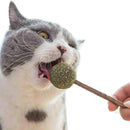 Catnip Lollipop Chew Toy for Cats