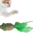 Natural Teeth Clean Edible Catnip Ball Toy For Cats/Kitten