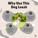 Flexible Bungee Leash For Dogs