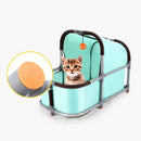 Cat Hammock Bed with Sturdy Pipe Play Structure