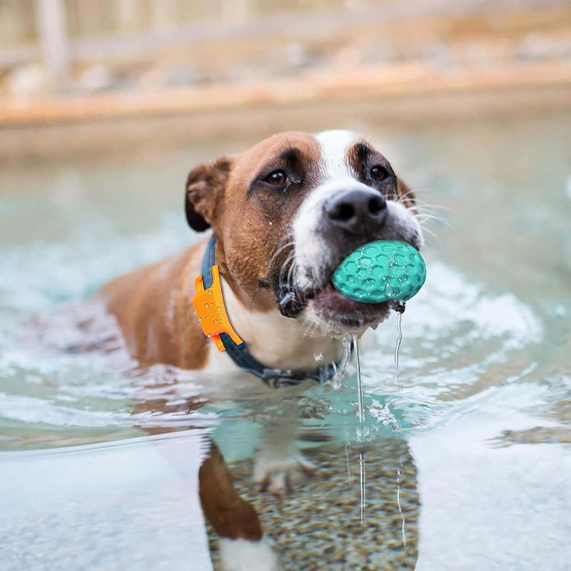 Squeaky Balls Chew Toy For Small/Medium Dogs