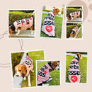 Summer T-shirt For Pets