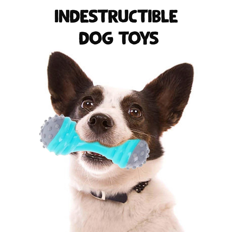 Dumbbell Vinyl Rubber Chew Toy For Dogs