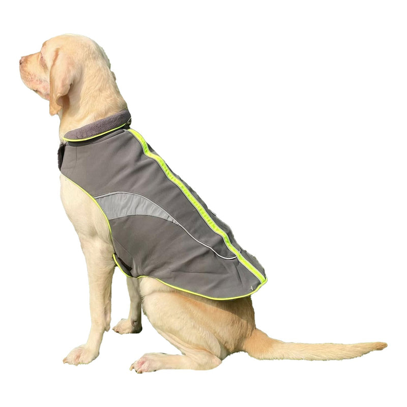 Waterproof Jacket for Small Breeds Dogs (Neon-Green)