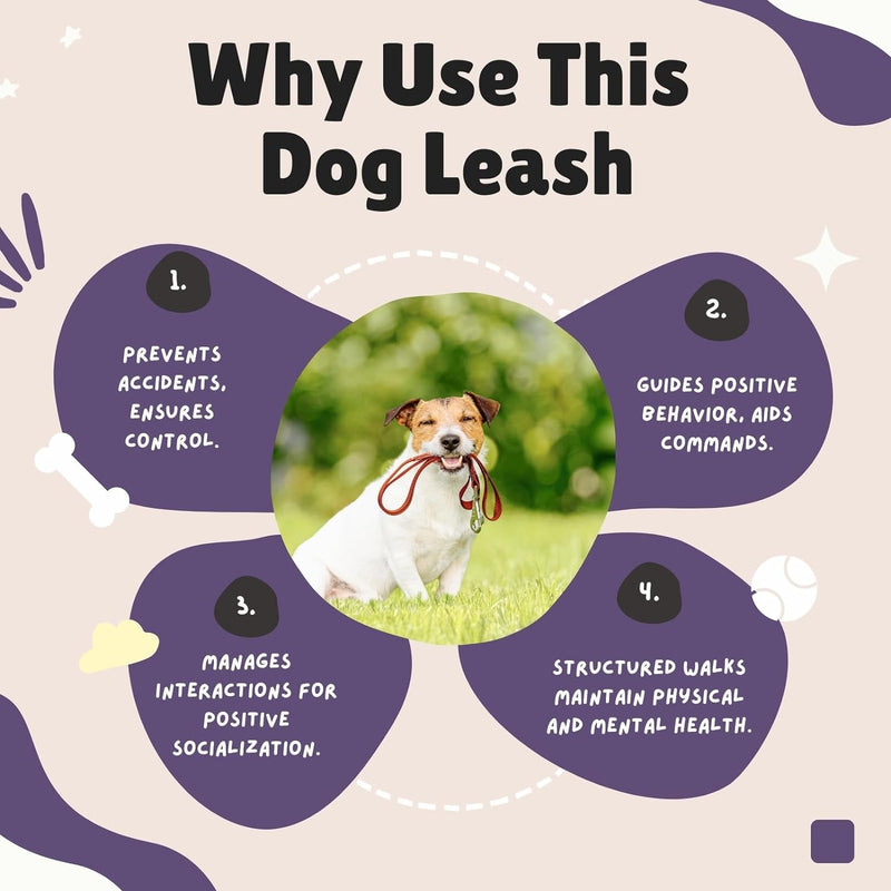 Nylon Leash For Dog