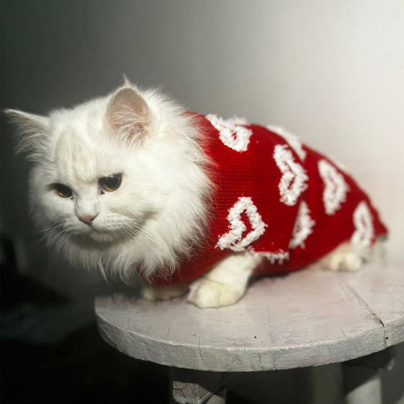 Turtleneck Sweater Winter For Small Dogs Cats