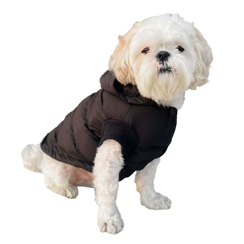 Winter Hoodie Jacket for Small Breed Dog (Black)