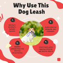 Flexible Bungee Leash For Dogs