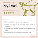 Flexible Bungee Leash For Dogs