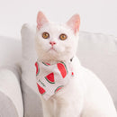 Adjustable Lightweight Dog Collar with Quick Release Buckle