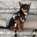 Mesh Harness And Leash Set For Small Medium Large Dogs