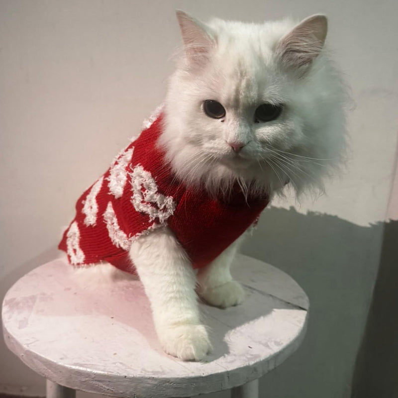 Turtleneck Sweater Winter For Small Dogs Cats